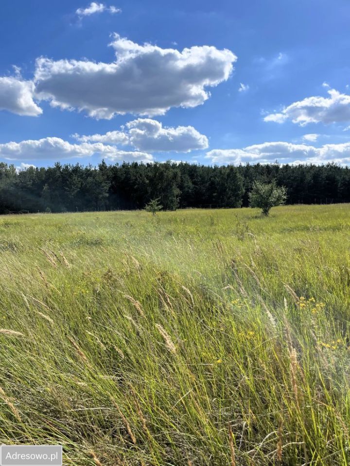 Działka budowlana Wilkowyja