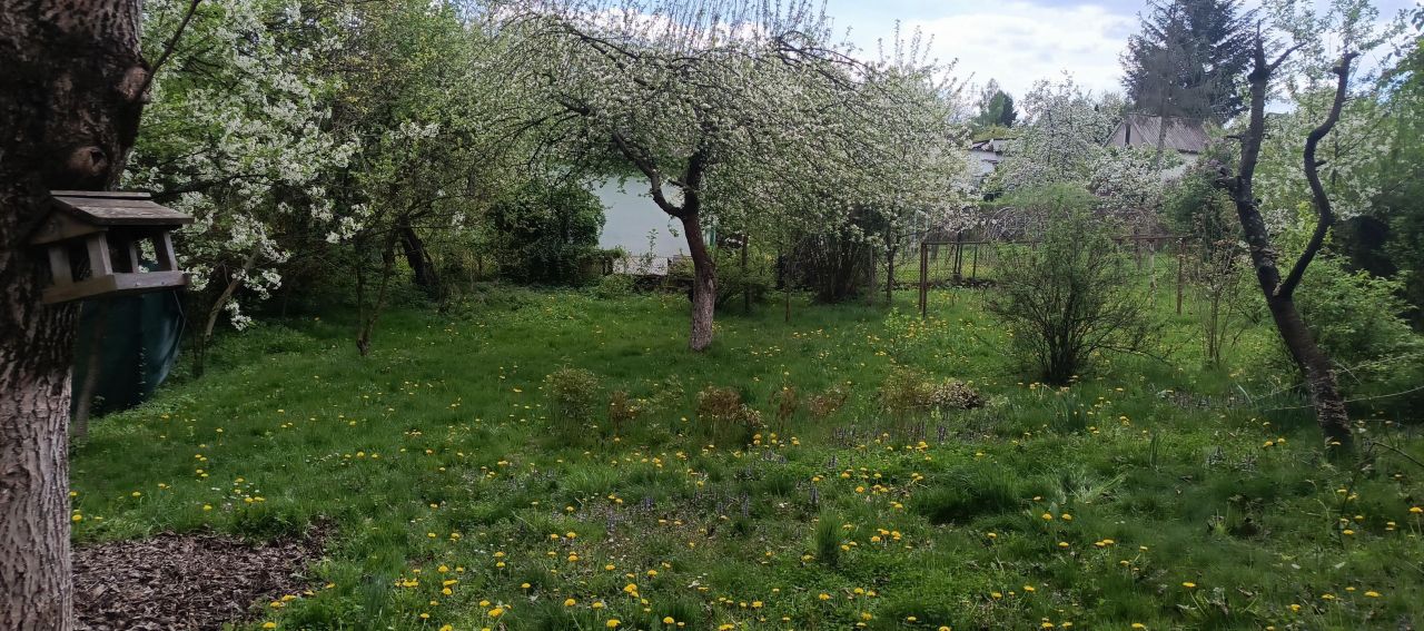 Działka rod Łapczyca. Zdjęcie 6