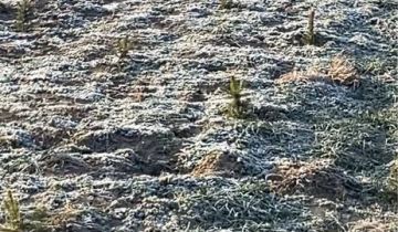 Działka rolno-budowlana Kalinówka