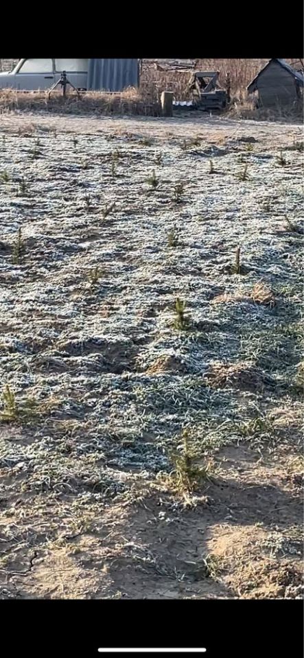 Działka rolno-budowlana Kalinówka. Zdjęcie 2