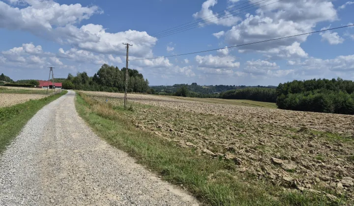 Działka rolno-budowlana Szynwałd