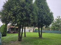 Działka rekreacyjna Zabrze Kończyce, ul. Mała. Zdjęcie 3