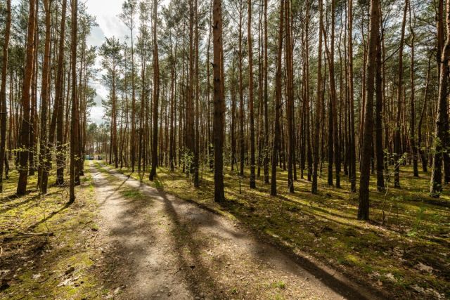 Działka budowlana Sulejówek Żurawka, ul. Jana III Sobieskiego. Zdjęcie 1