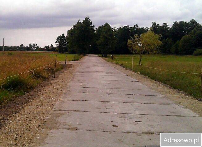 Działka leśna Garki. Zdjęcie 4