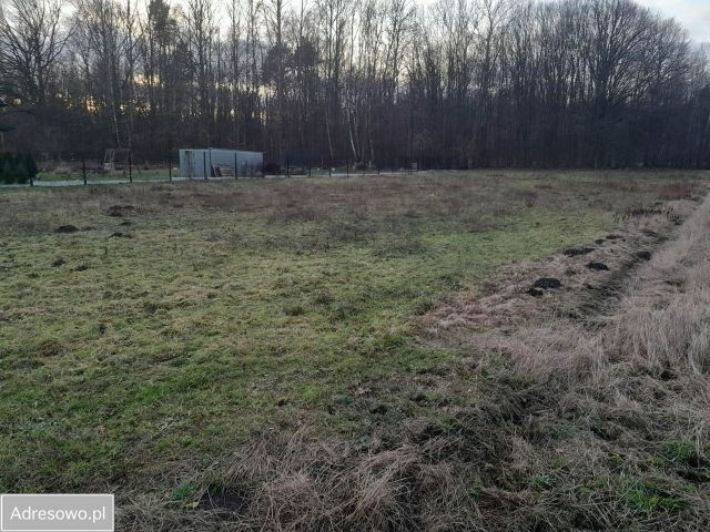 Działka rolno-budowlana Wola Rębkowska, ul. Zacisze. Zdjęcie 1