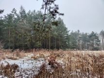 Działka budowlana Gola Wielka. Zdjęcie 2