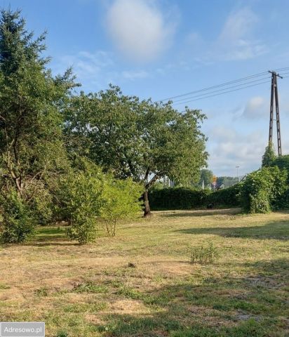 Działka budowlana Zielona Góra Chynów. Zdjęcie 1