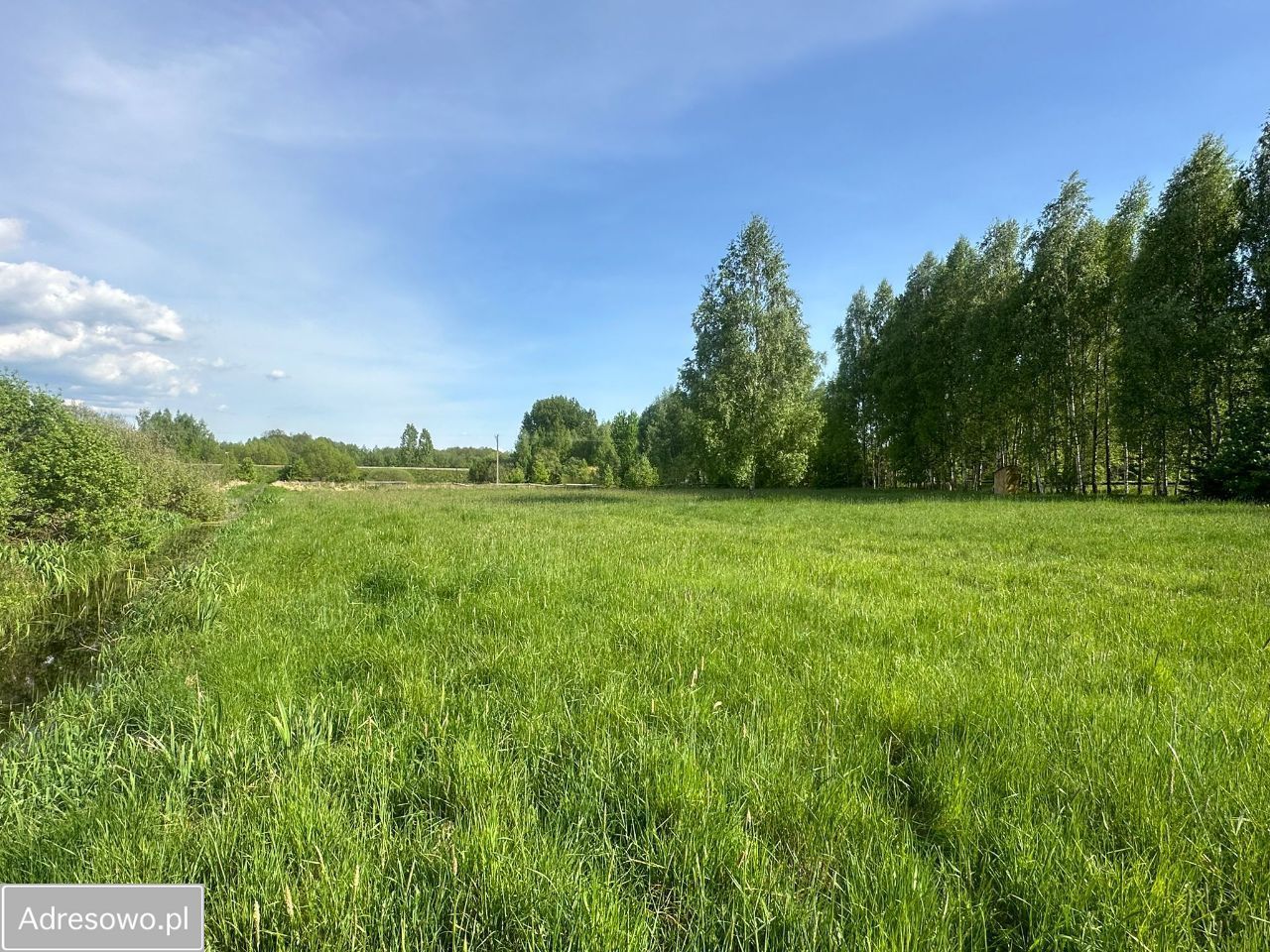 Działka rolna Dubiny. Zdjęcie 9