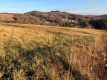 Działka rolno-budowlana Kamienica Górna. Zdjęcie 1