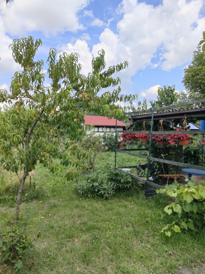 Działka rod Mielec. Zdjęcie 6