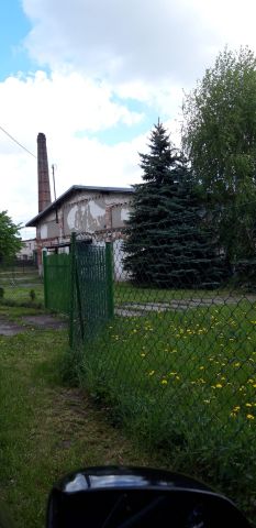 Działka inwestycyjna Gorzewo. Zdjęcie 6