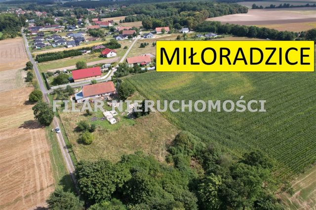 Działka budowlana Miłoradzice. Zdjęcie 1