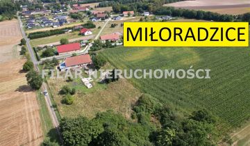 Działka budowlana Miłoradzice