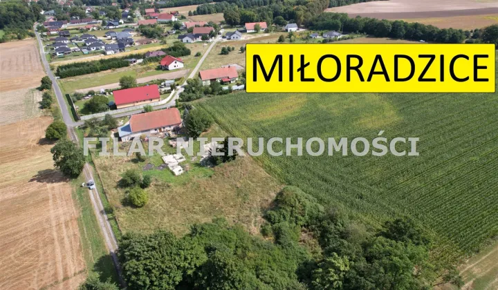 Działka budowlana Miłoradzice