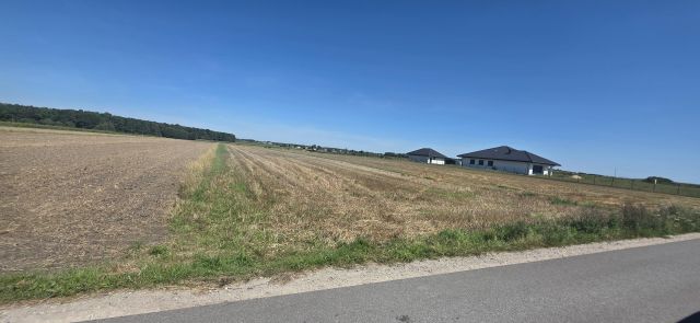 Działka rolno-budowlana Białocin. Zdjęcie 1