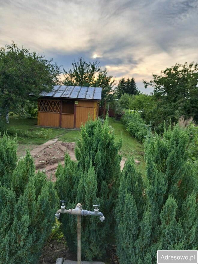 Działka rod Dąbrowica. Zdjęcie 5