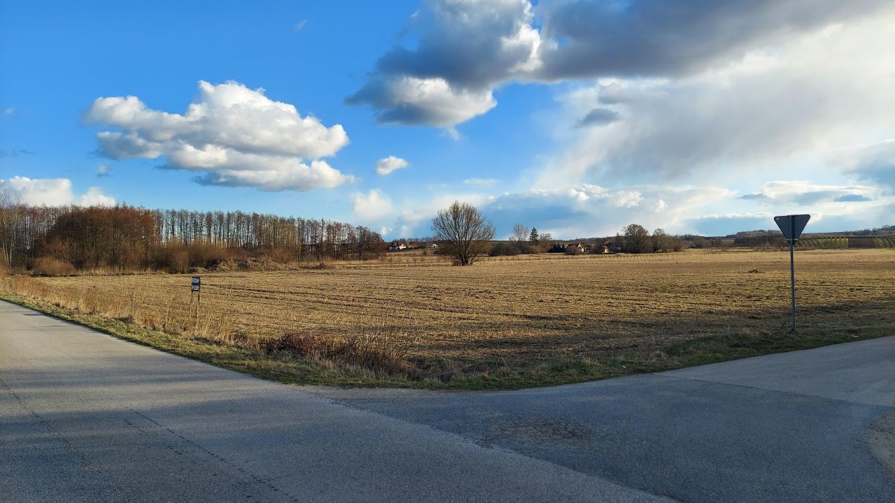 Działka rolno-budowlana Kuchary. Zdjęcie 4