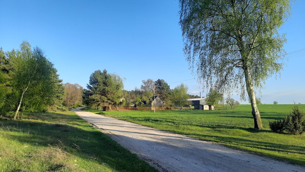 Działka budowlana Wielka Wieś A Charlawa. Zdjęcie 14