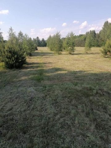 Działka rolno-budowlana Las Lesznowolski. Zdjęcie 1