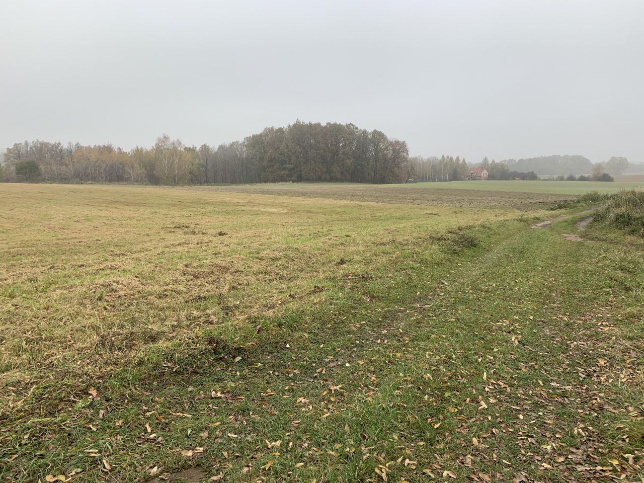 Działka rolna Trzebina. Zdjęcie 5