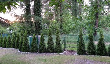 Działka rod Wieluń