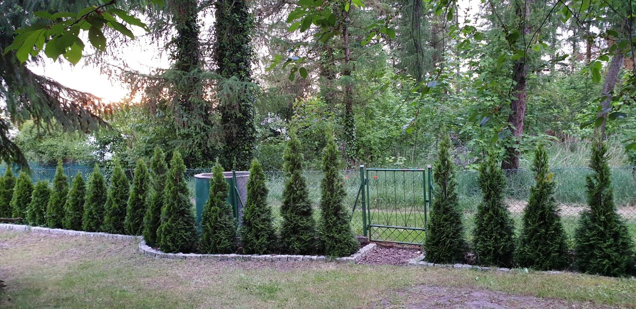 Działka rod Wieluń. Zdjęcie 2