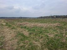 Działka budowlana Włoszczowa, ul. Wiejska. Zdjęcie 1