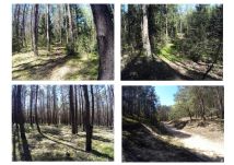 Działka budowlana Oborczyska. Zdjęcie 2