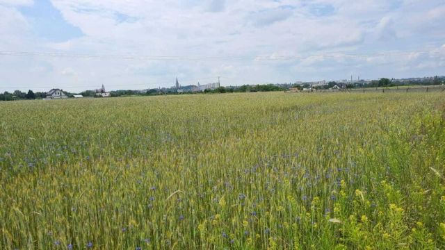 Działka budowlana Stargard. Zdjęcie 2