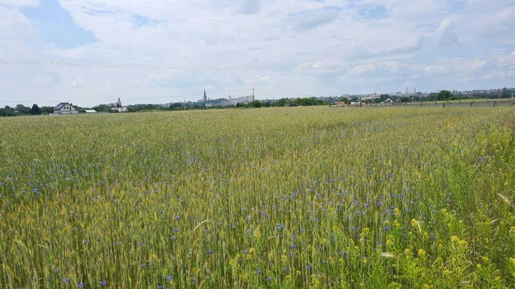 Działka budowlana Stargard. Zdjęcie 2