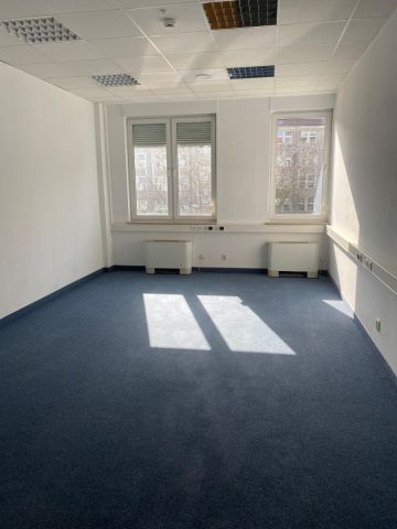 Lokal Wrocław Stare Miasto, pl. marsz. Józefa Piłsudskiego. Zdjęcie 10