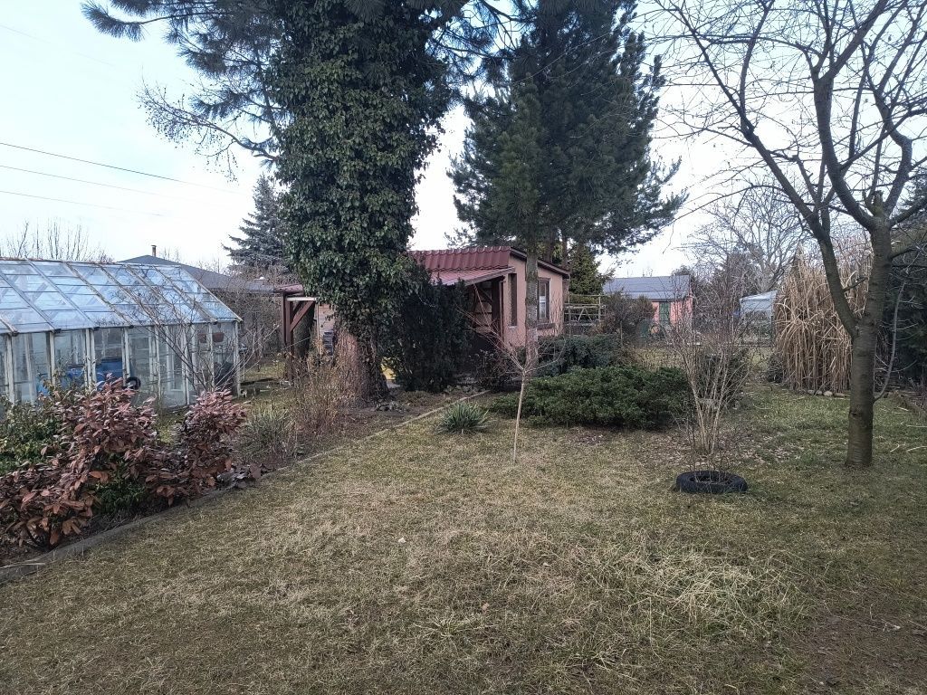 Działka rod Piotrków Trybunalski, ul. Gęsia. Zdjęcie 8