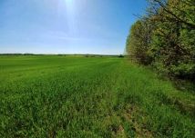 Działka budowlana Osiek Drawski. Zdjęcie 4