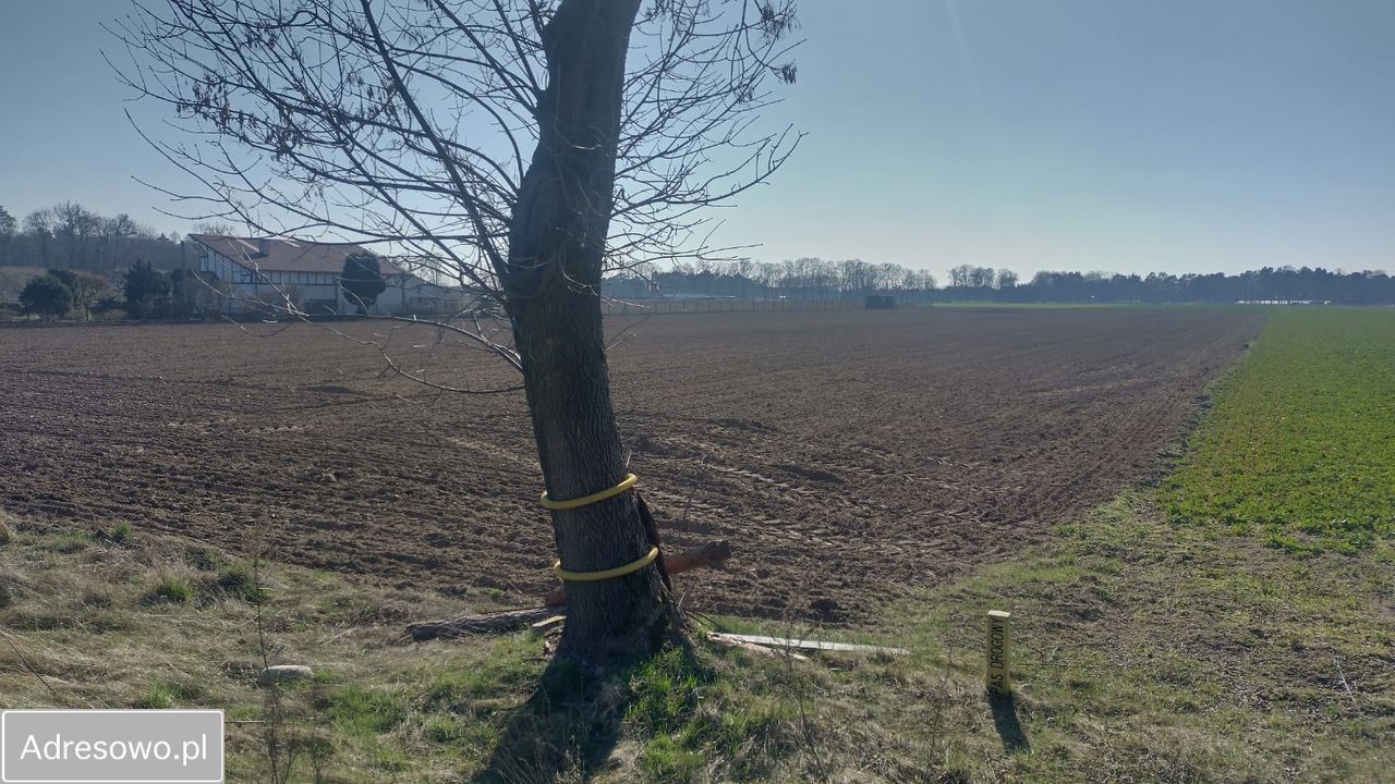 Działka inwestycyjna Henrysin. Zdjęcie 8