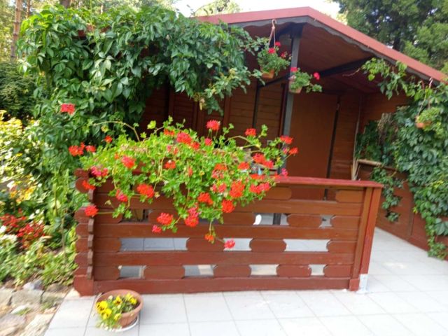 Działka rekreacyjna Polkowice. Zdjęcie 1