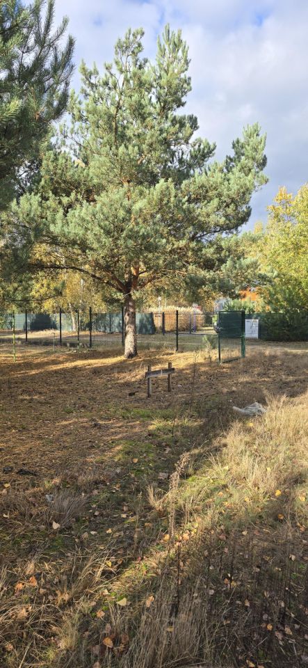 Działka budowlana Skrzynka. Zdjęcie 10