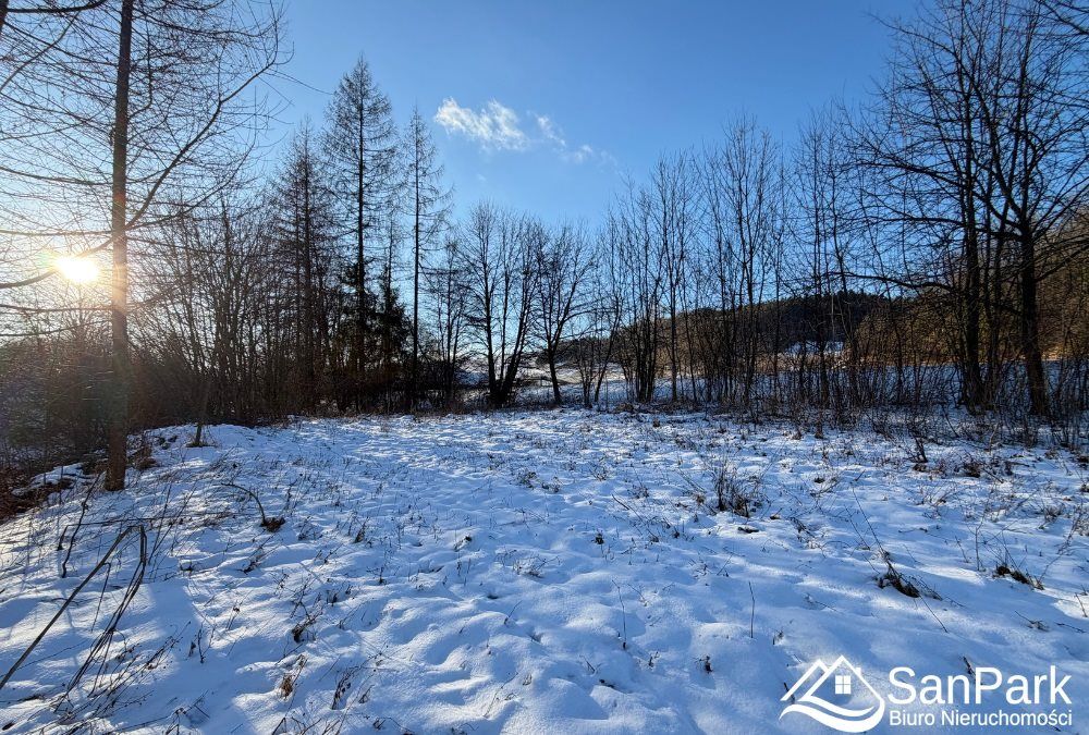 Działka rekreacyjna Hoczew. Zdjęcie 7