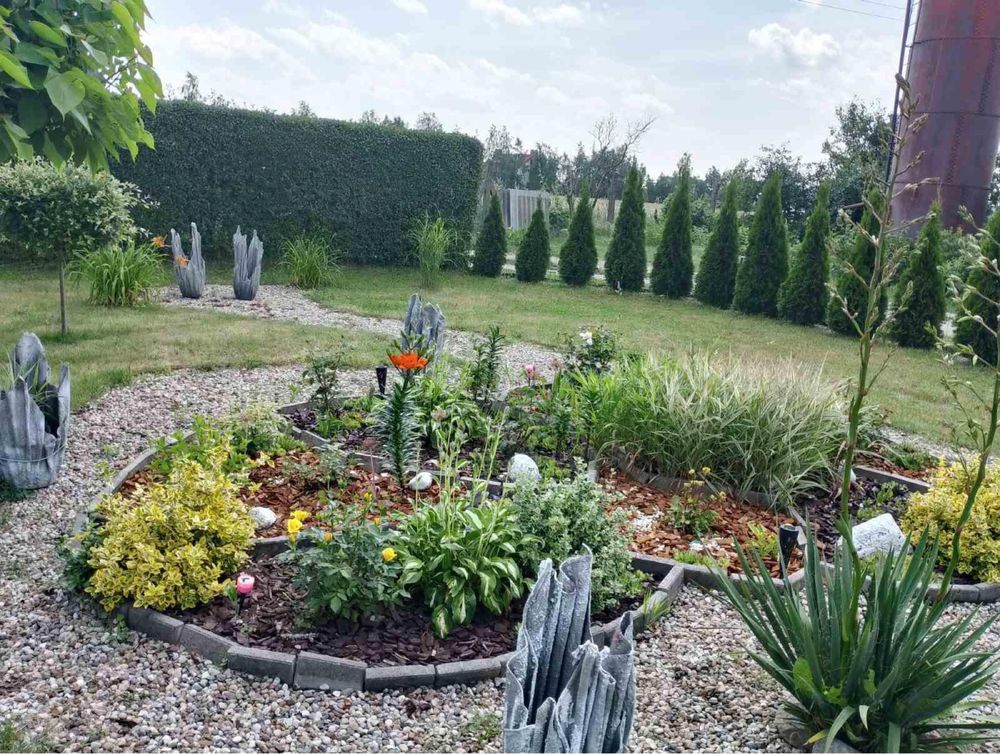 Działka rod Międzychód. Zdjęcie 7