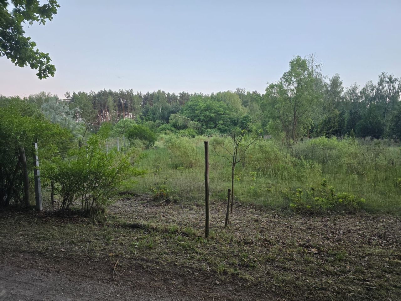 Działka siedliskowa Droszków. Zdjęcie 4