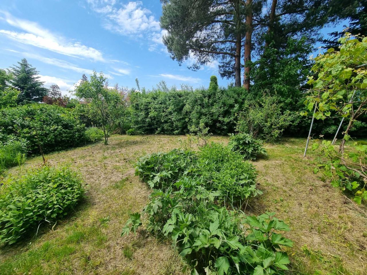 Działka rod Lublin Sławinek, ul. Agronomiczna. Zdjęcie 8