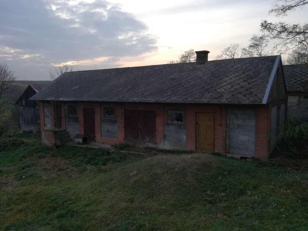 Działka rolno-budowlana Janówka Zachodnia. Zdjęcie 16