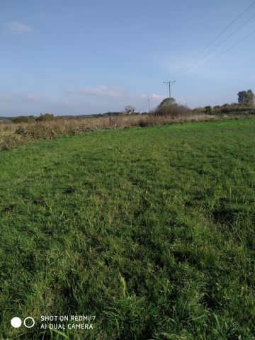 Działka rolna Pawłówek, Łąkowa. Zdjęcie 4