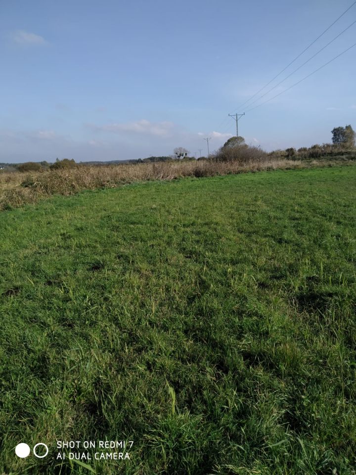 Działka rolna Pawłówek, Łąkowa. Zdjęcie 4