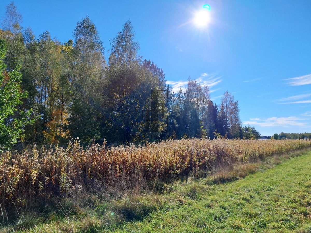 Działka budowlana Dębe Wielkie. Zdjęcie 2