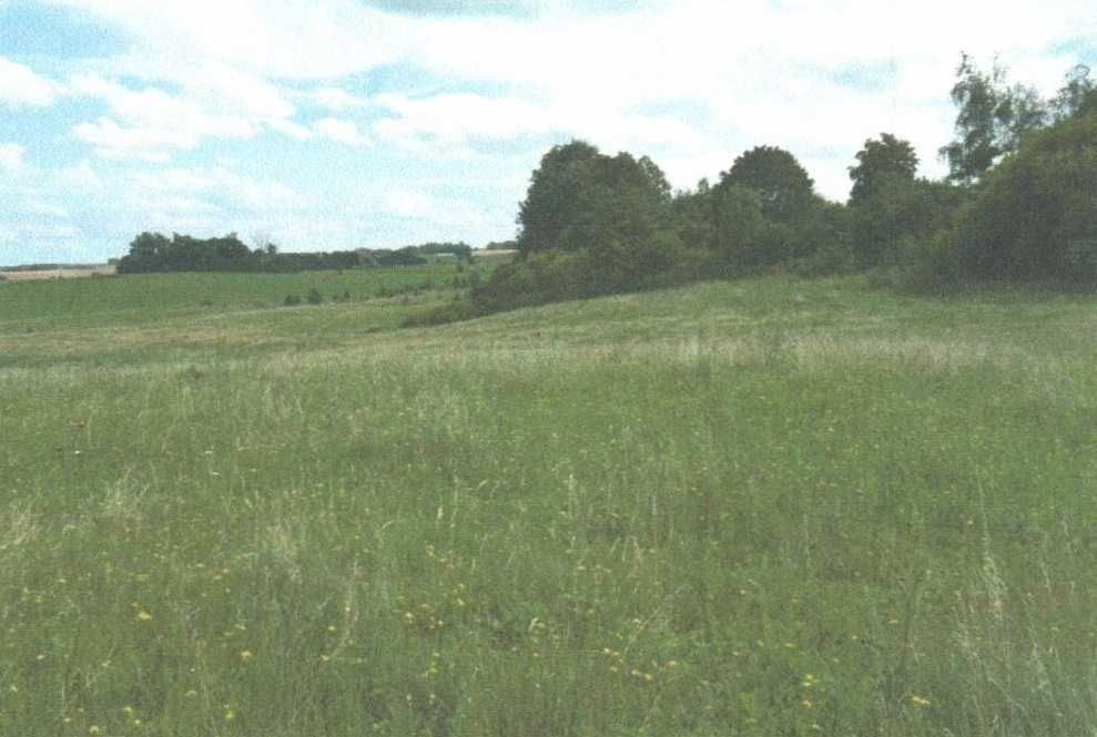 Działka rolno-budowlana Burdąg. Zdjęcie 3