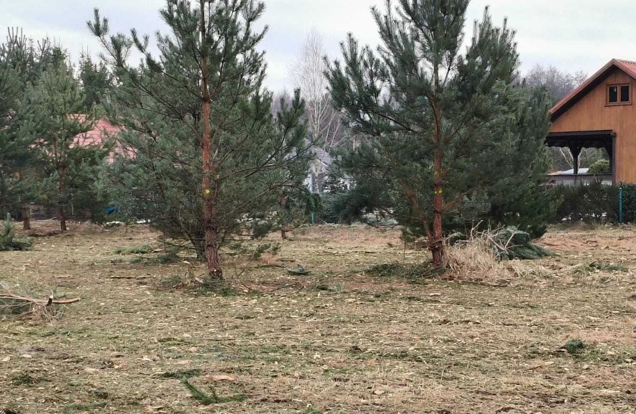 Działka budowlana Kuźnica Głogowska. Zdjęcie 1