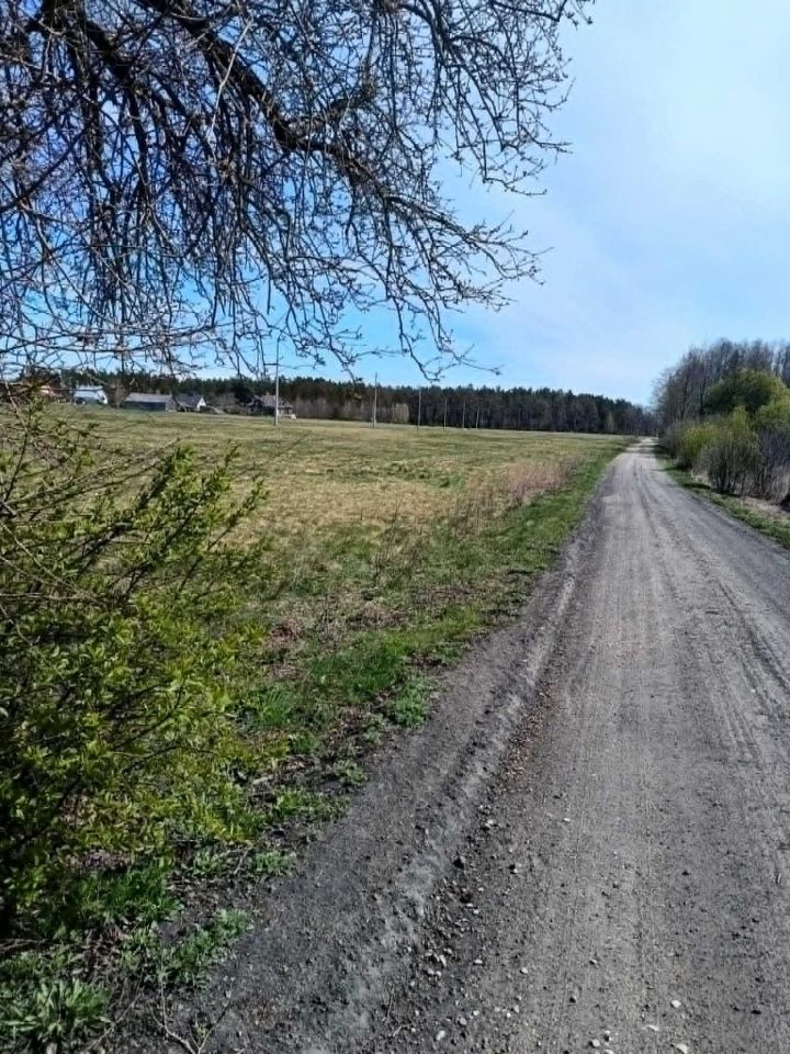 Działka budowlana Olszyny. Zdjęcie 2