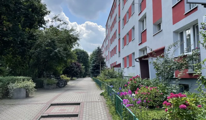 Mieszkanie 2-pokojowe Rzeszów Śródmieście, ul. Henryka Sienkiewicza