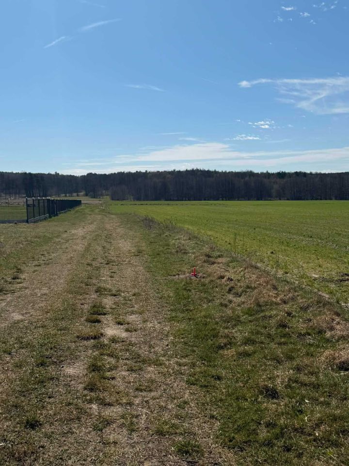 Działka budowlana Kobyla Góra Lipnik. Zdjęcie 5
