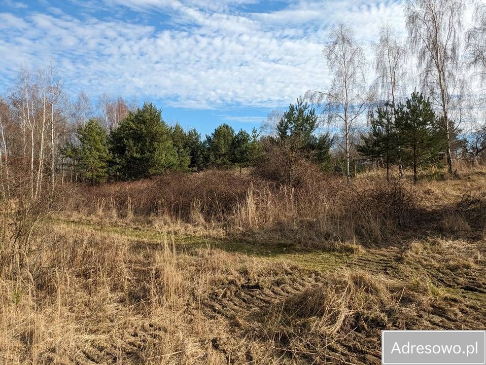 Działka budowlana Okmiany. Zdjęcie 10